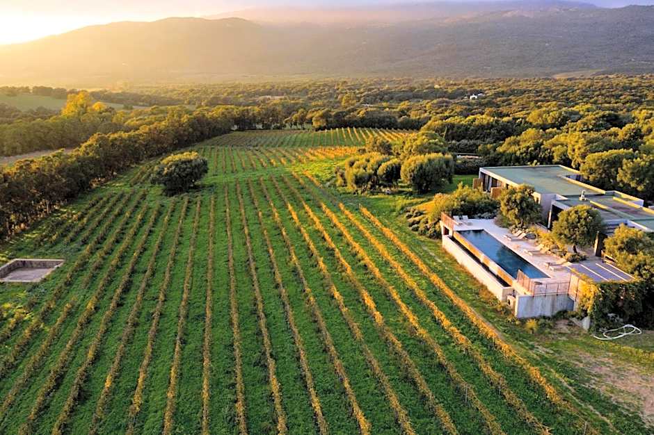 Domaine de Peretti della Rocca