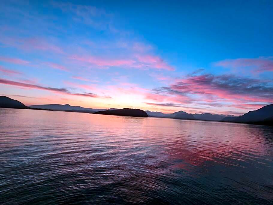 Dream House -Water Lily