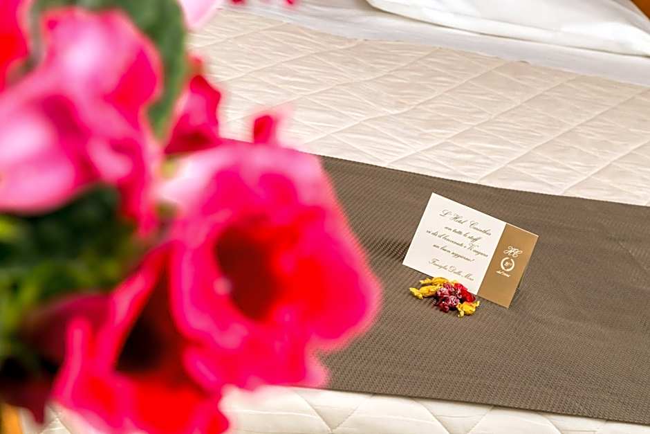 Hotel & Aparthotel Carinthia S