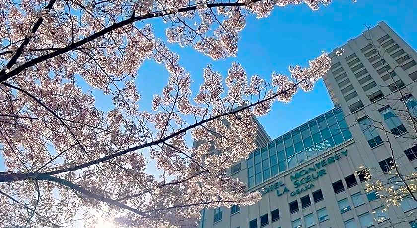 Hotel Monterey La Soeur Osaka