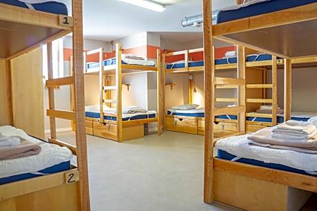 Single Bed in Mixed Dormitory Room