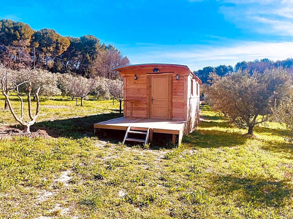 Domaine Amourella