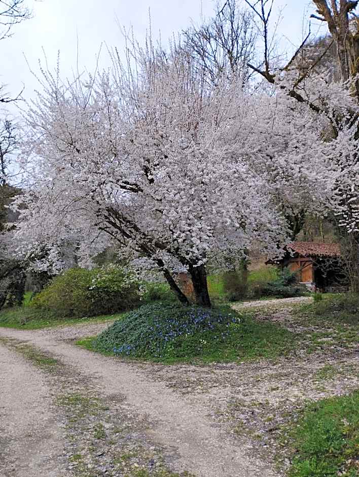 LES CHAMBRES DE LIANE