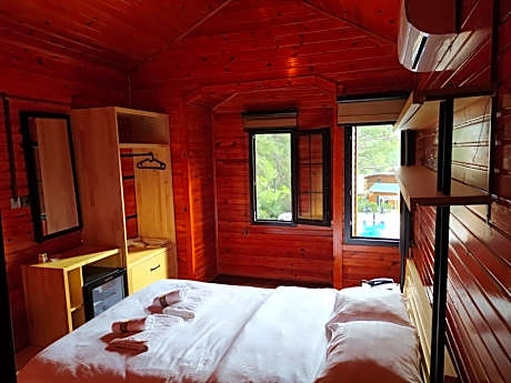 Double Room with Mountain View