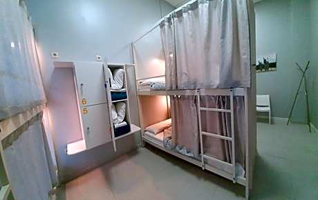 Bunk Bed in Mixed Dormitory Room