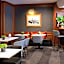 Starhotels Tourist