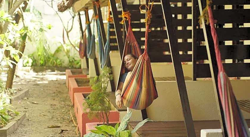 The Lazy Dog Bed & Breakfast