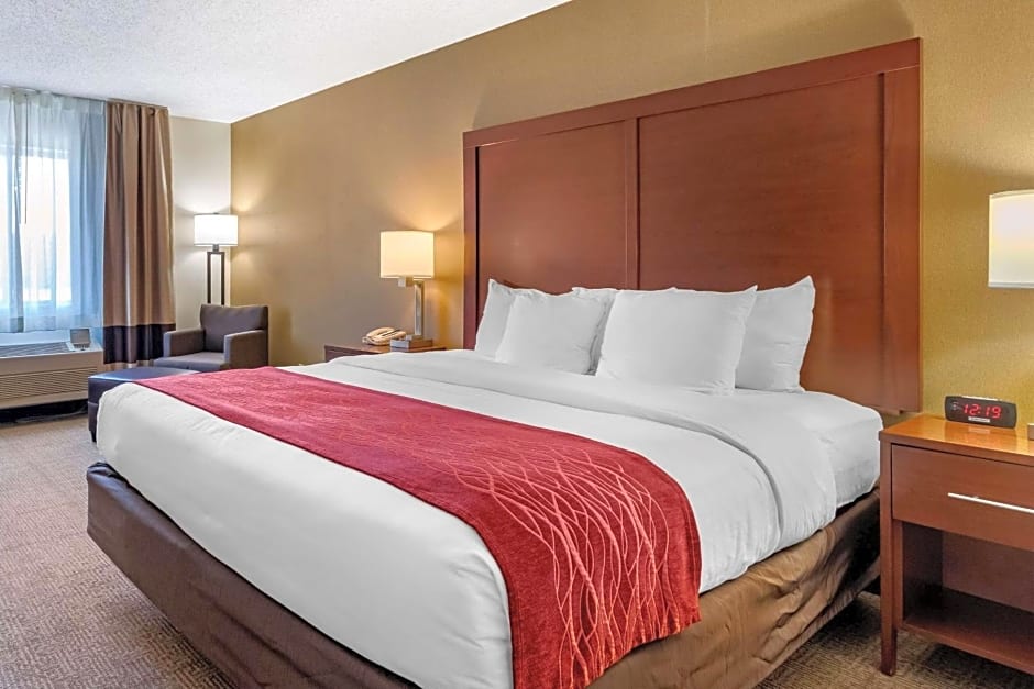 Comfort Inn Great Falls