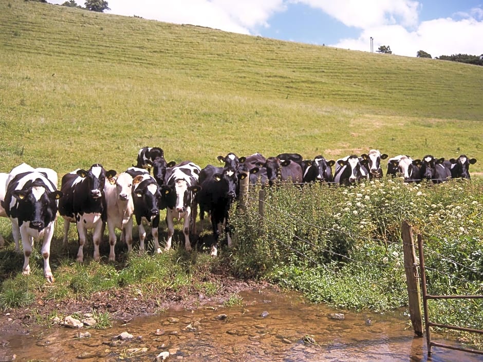 The Grange at Oborne