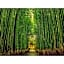 River Side Arashiyama - Vacation STAY 86216v