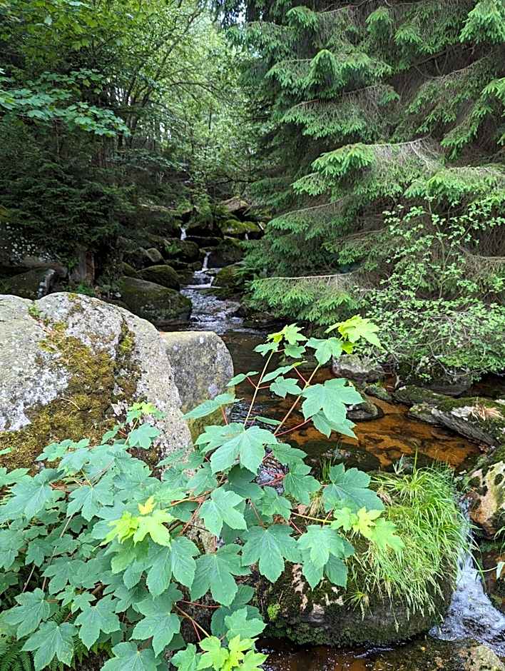Waldgasthaus & Berghotel Steinerne Renne