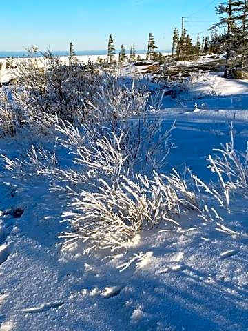 Bears Den Guest House