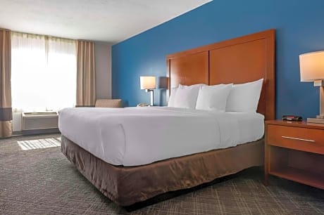 King Room - Non Smoking/Pet Friendly