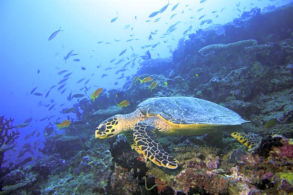 Dhawa Ihuru, part of Banyan Group  