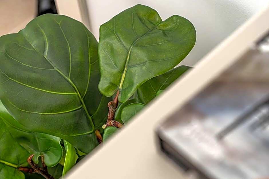 Deluxe 3 BDR Garden In Bayt Vegan-Ramat Sharet