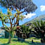 Villa Olivia Residence Ischia - nel Verde con Piscine e Vista Mare