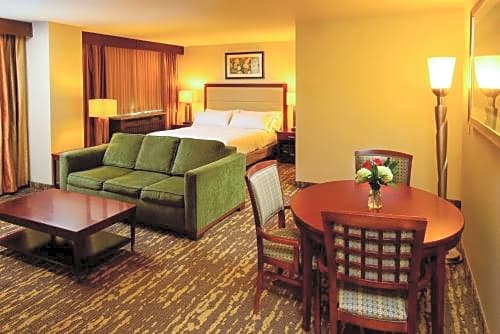 DoubleTree Rochester - Mayo Clinic Area – Rochester, MN