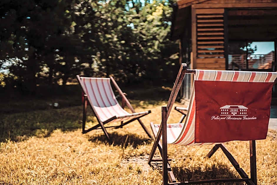 Pałac pod Bocianim Gniazdem