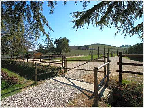 Tenuta Agricola Fonte Di Papa