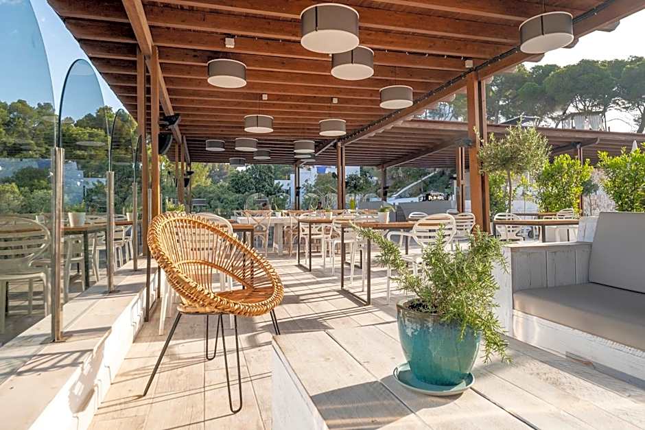 Artiem Audax - Adults Only