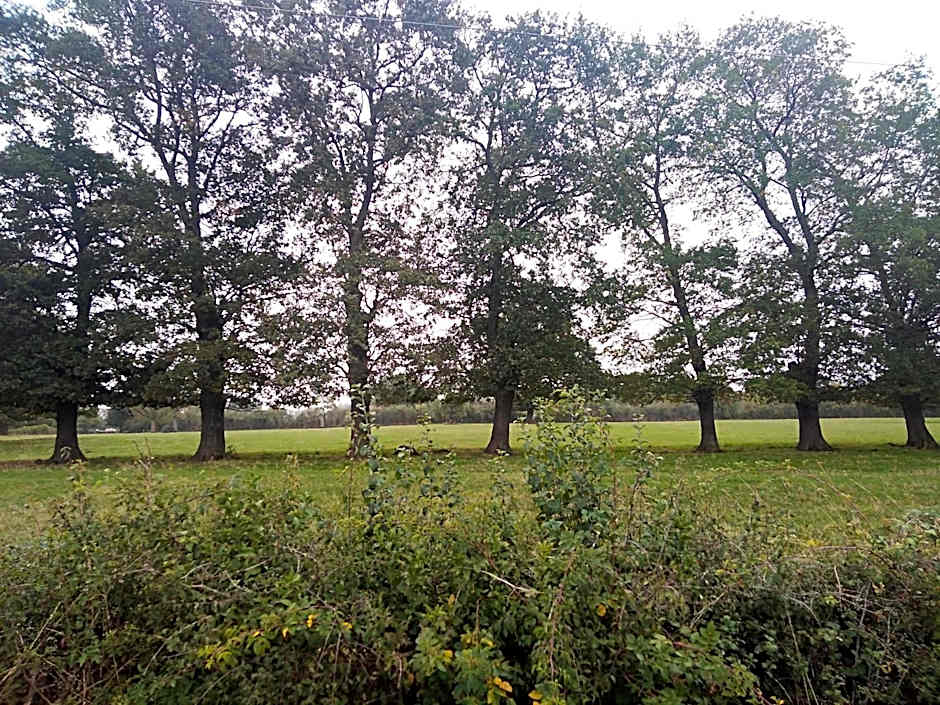 Les Maitres Sonneurs