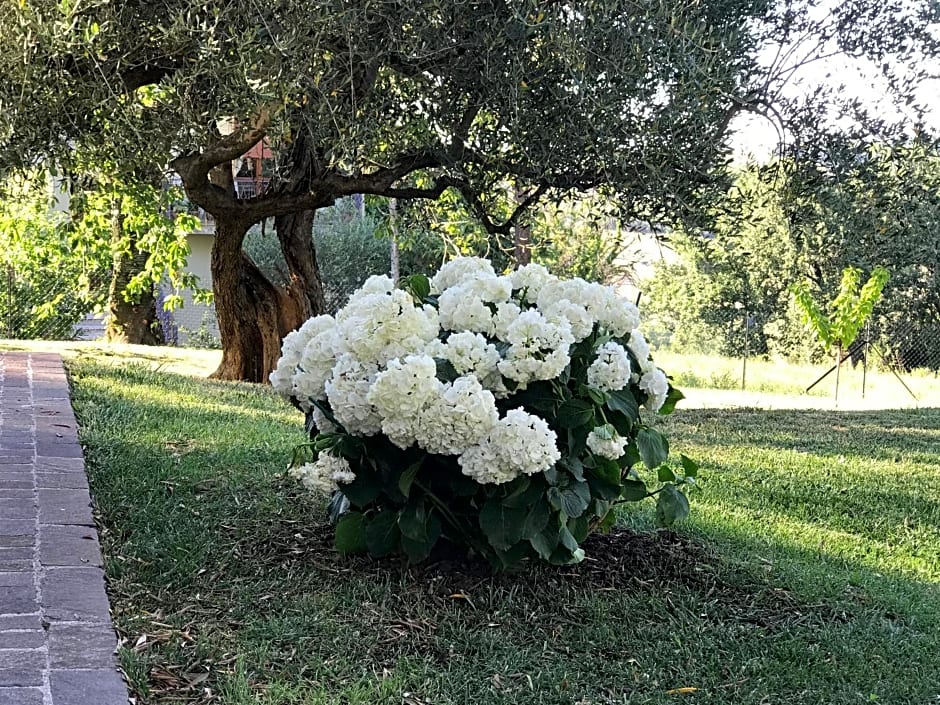 Antica Fonte holiday home