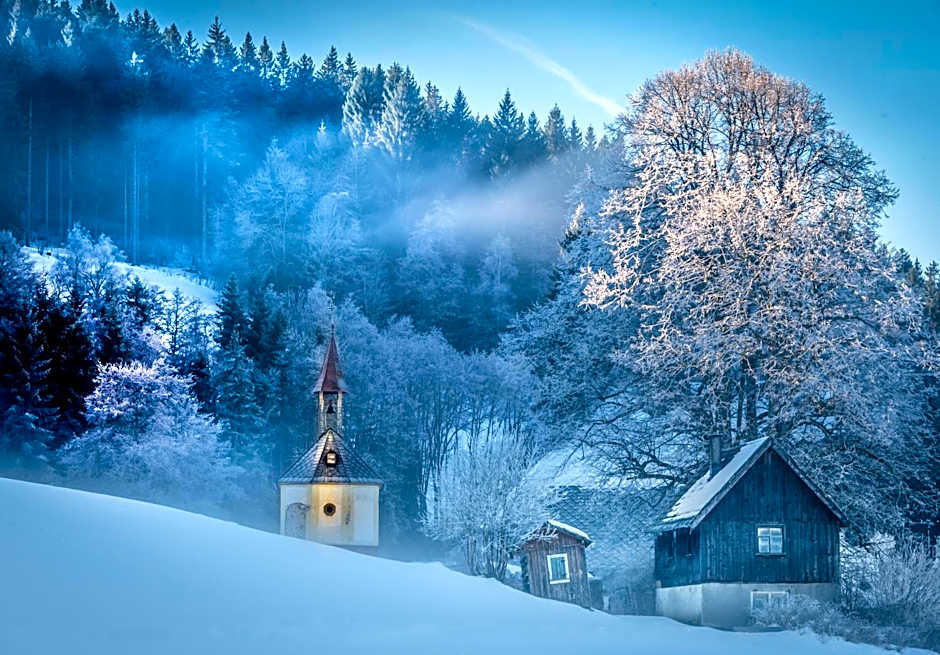 Hotel Baren Titisee