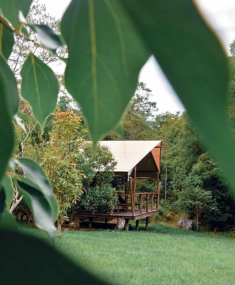 Silk Pavilions Glamping