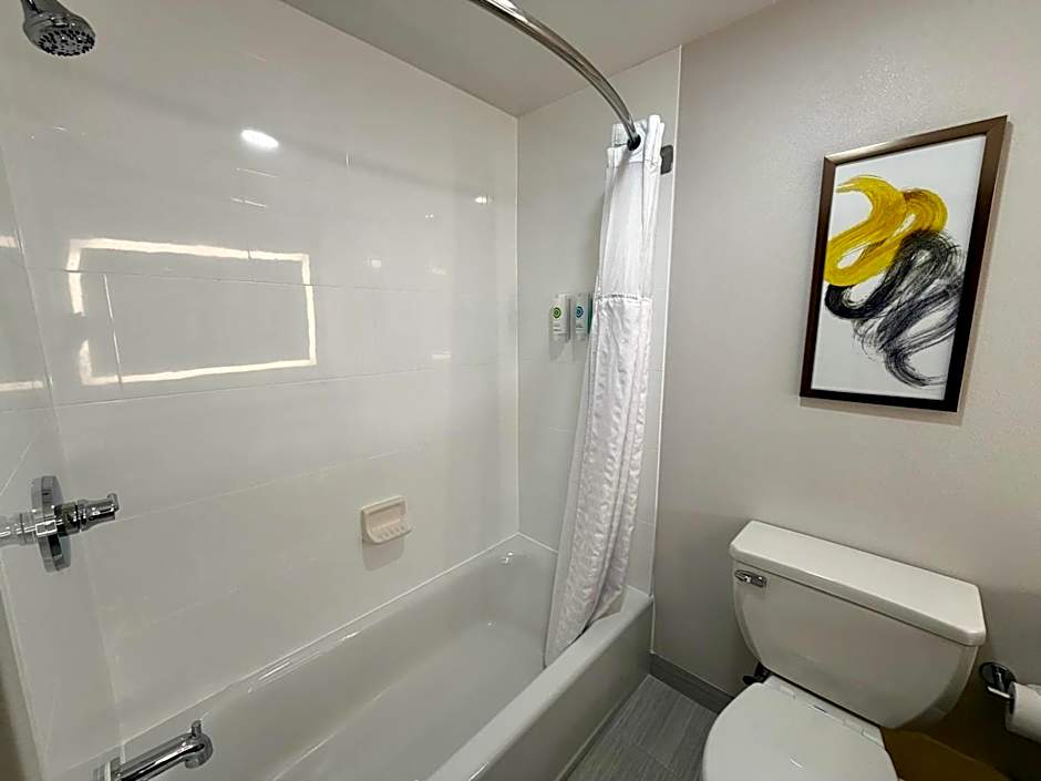 Comfort Inn & Suites Sturbridge-Brimfield
