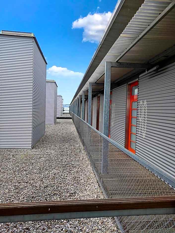 Orange Wings Wiener Neustadt