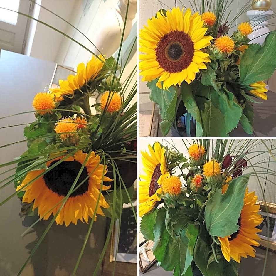 Domaine de Bourgville