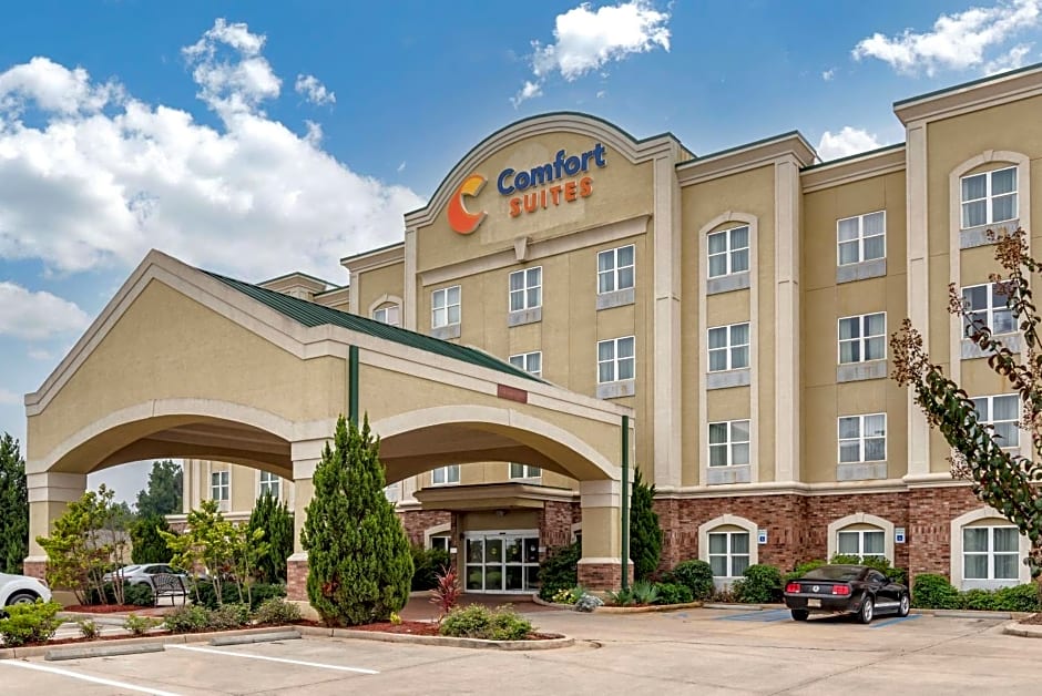 Comfort Suites Vicksburg