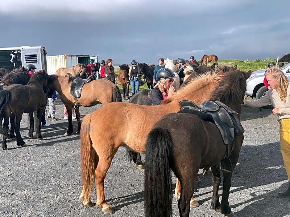 Guesthouse Bitra B&B