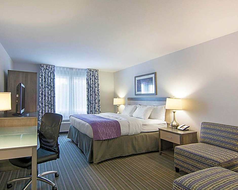 Comfort Inn Williamsburg Gateway