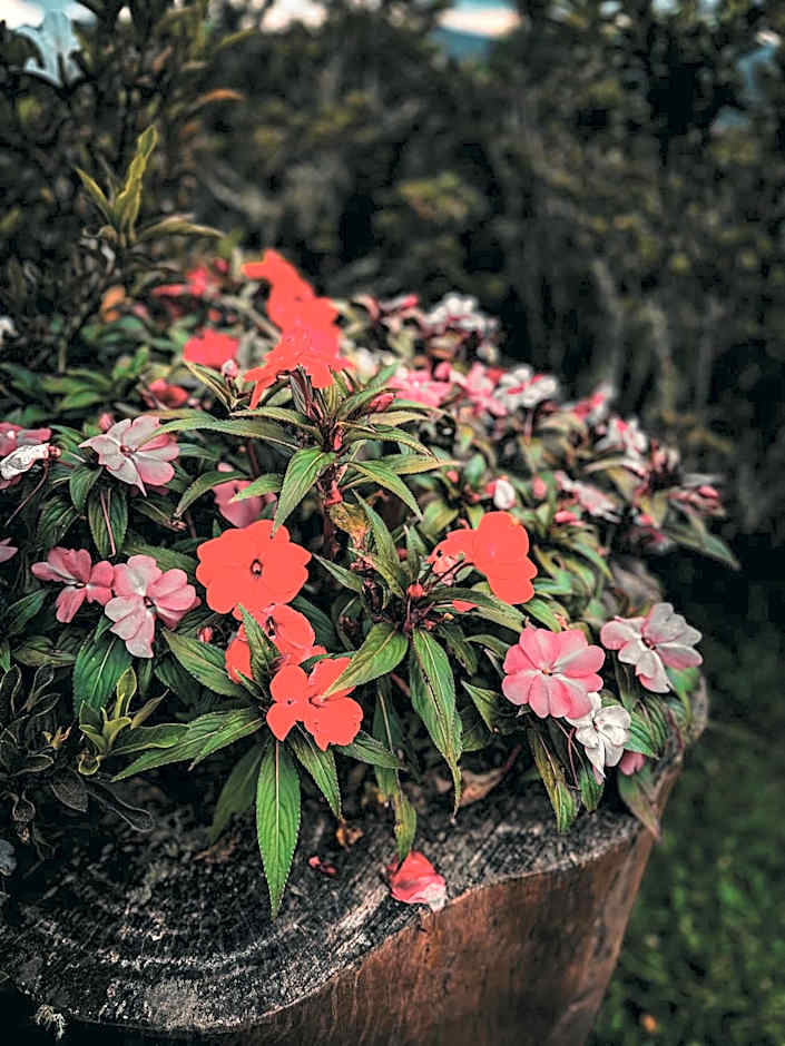 Smart Hotel Reserva Campos do Jordão