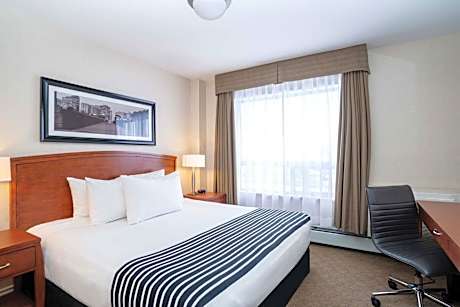 Standard Suite, 1 King Bed, Sofa Bed, Kitchenette