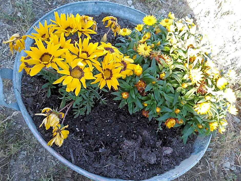 Lispusada Agriturismo Adults Only