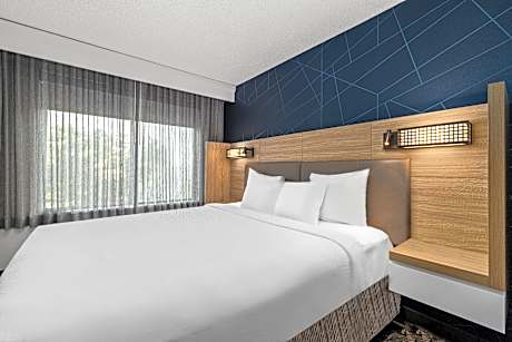 Executive Suite, 1 King, Sofa bed