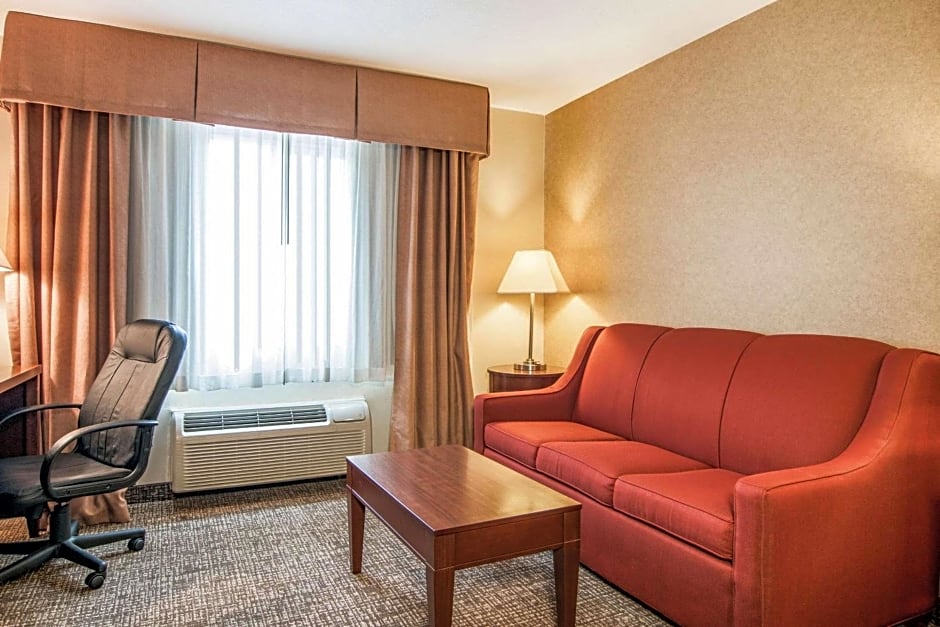 Comfort Inn & Suites Vancouver Downtown City Center