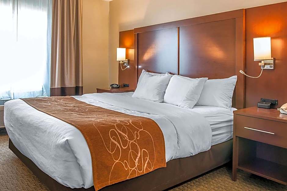 Comfort Suites Wixom - Novi