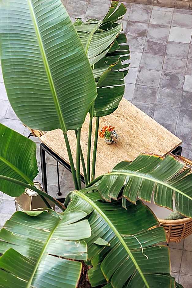 Riad Villa Wengé & Spa