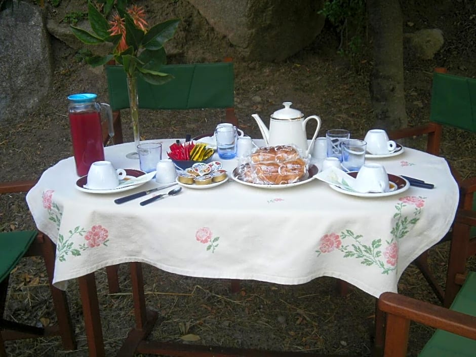 La Collina dei Ciliegi