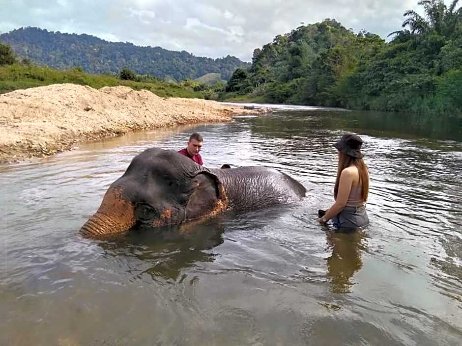 Khao Sok River & Jungle Bungalow