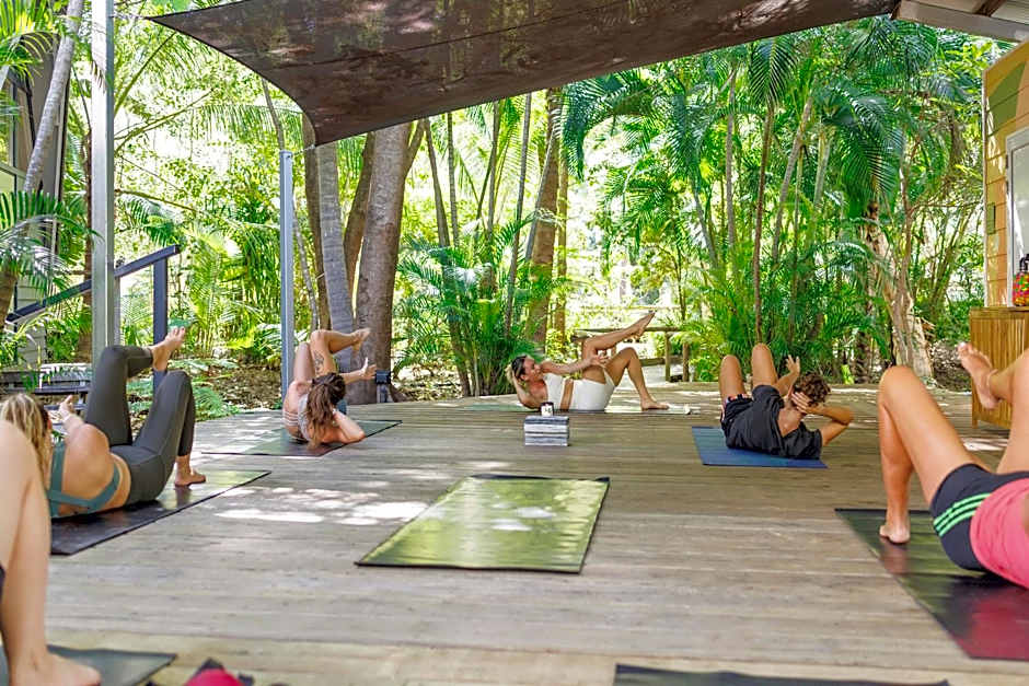 Bounce Magnetic Island and Koala Park