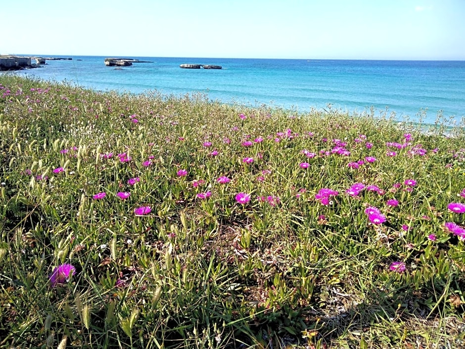 Li Perrini Boutique B&B