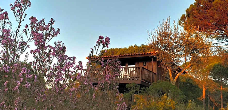 Ying Yang Monte da Lua