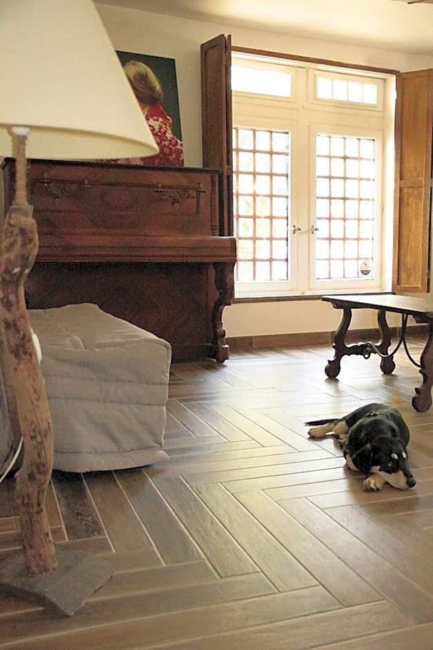 Hostel du lapin blanc