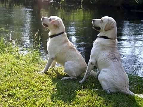 Les Chambres de Paule
