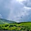Wester Auchraw Croft B&B
