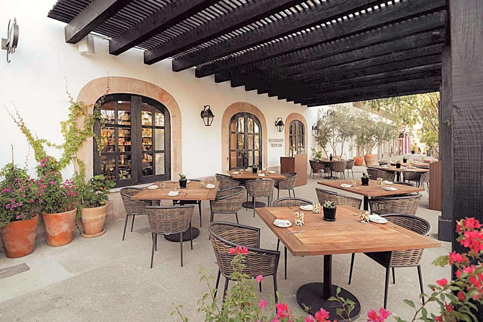 Tropicana Los Cabos, Tapestry Collection by Hilton